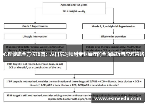 心理健康全方位指南：从日常习惯到专业治疗的全面解析与应对策略